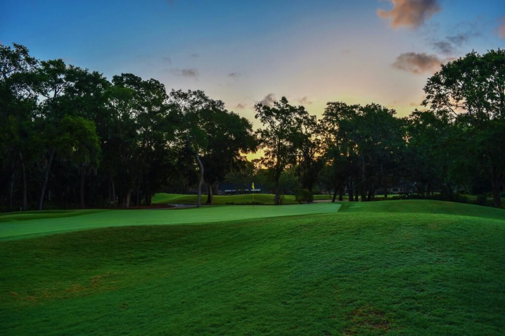 Sunlight streaming through trees over green grass, showing the beauty and serenity of nature